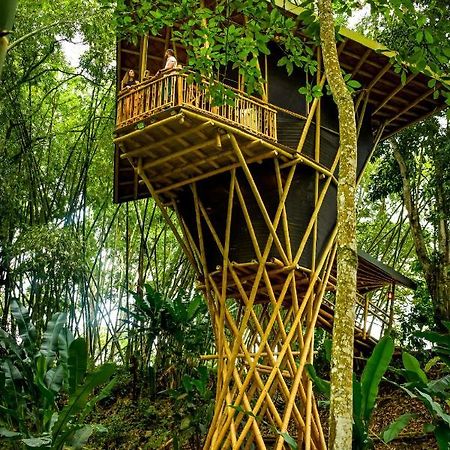 Eco Hotel Hacienda El Diamante Buga Exteriér fotografie