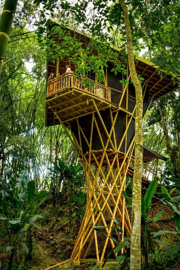 Eco Hotel Hacienda El Diamante Buga Exteriér fotografie